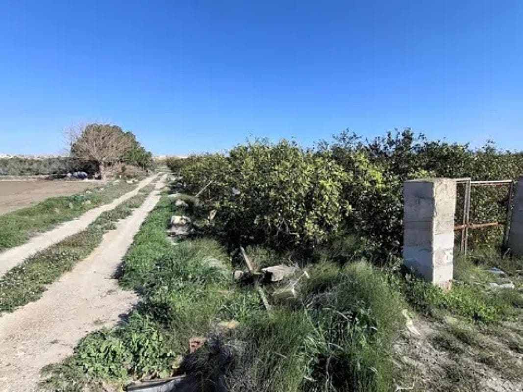 Terreno en venta en San Fulgencio, Alicante photo 3