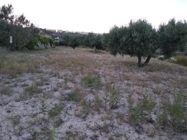 Terreno en Partida Coet photo 1