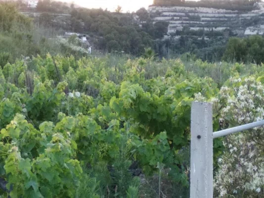 Terreno en venta en Benissa, Alicante photo 3