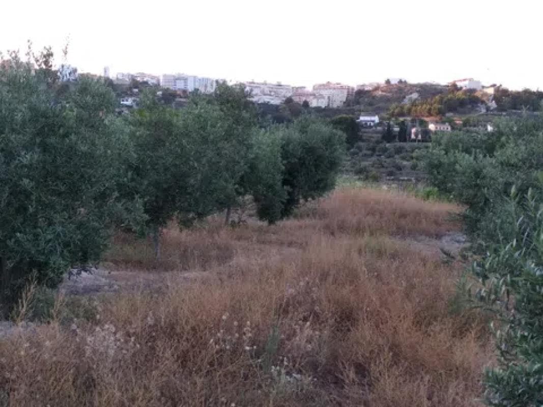 Terreno en venta en Benissa, Alicante photo 5