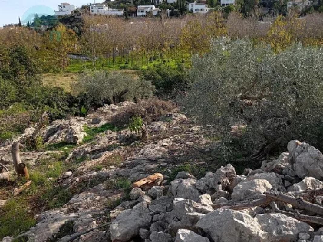 Terreno en venta en Pego, Alicante photo 3