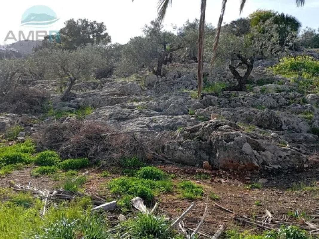 Terreno en venta en Pego, Alicante photo 5