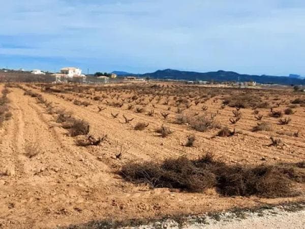 Terreno en Pedanía de Lel, km 8 thumbnail 1