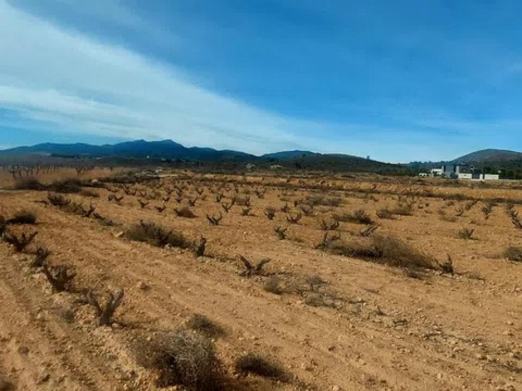 Terreno en venta en Pinoso, Alicante photo 5