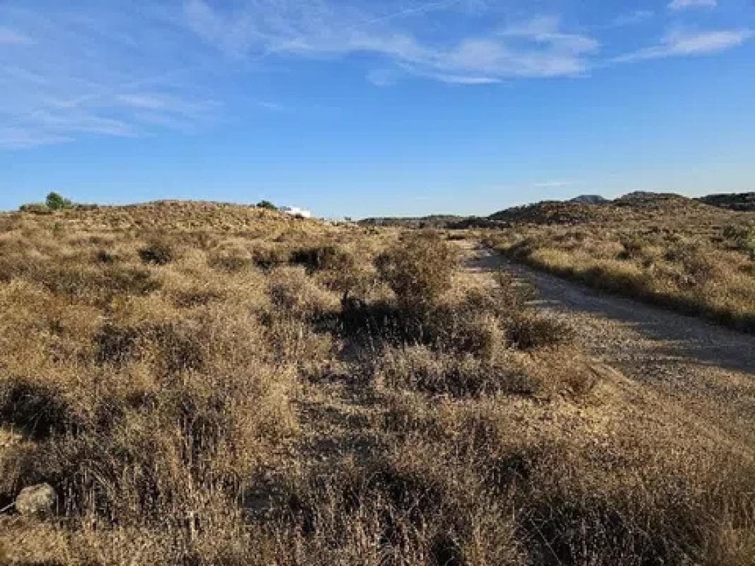 Terreno en venta en Petrer, Alicante photo 2