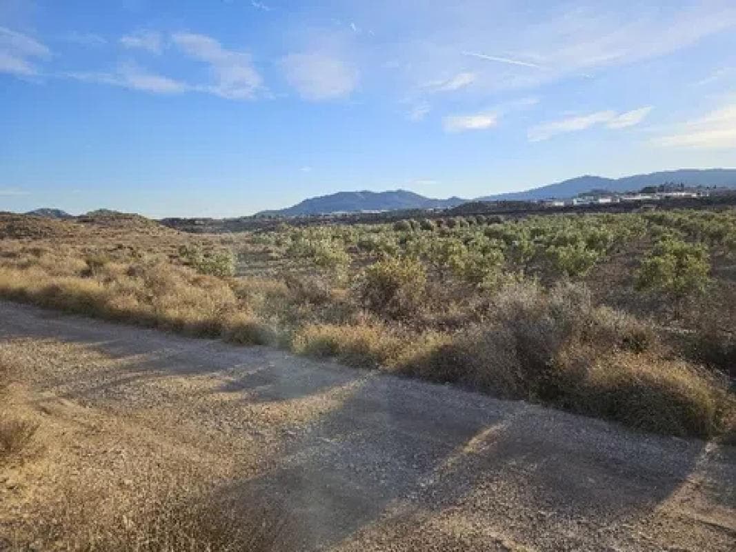 Terreno en venta en Petrer, Alicante photo 4