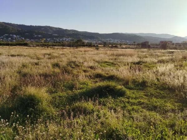 Terreno en Cv-731, km 2 photo 4