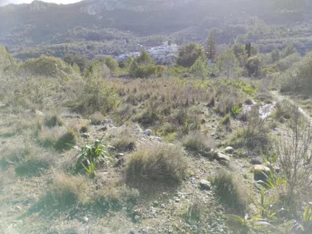 Terreno en venta en Vall de Gallinera, Alicante photo 3