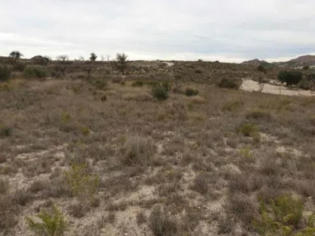 Terreno en venta en Moralet, Alicante photo 3