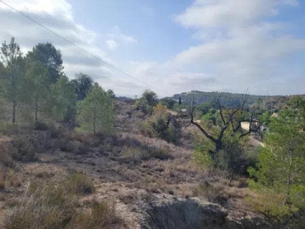 Terreno en El Tosal s/n photo 1
