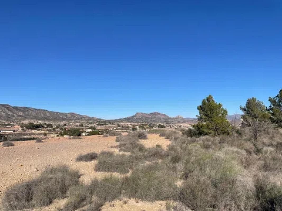 Terreno en venta en Monovar, Alicante photo 4