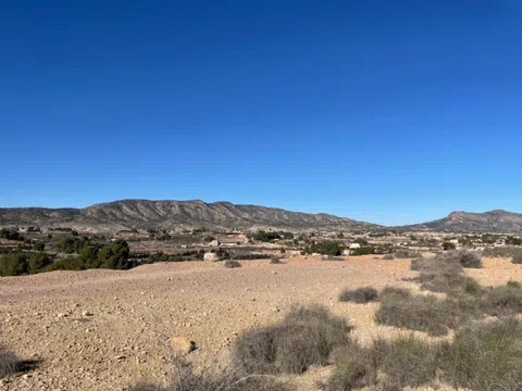 Terreno en venta en Monovar, Alicante photo 5