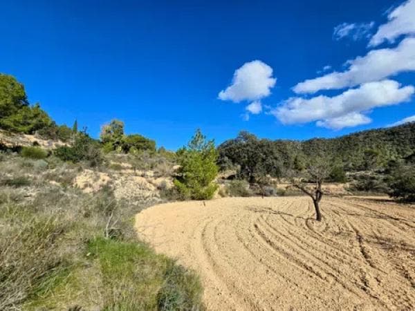 Terreno en Monovar photo 2
