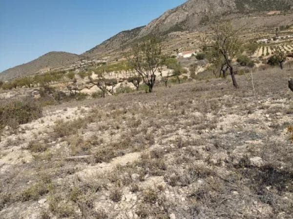 Terreno en cv-8400, 11 photo 4