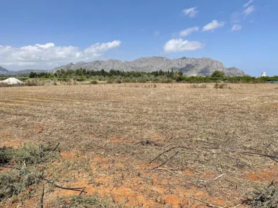 Terreno en venta en Pedreguer, Alicante photo 4