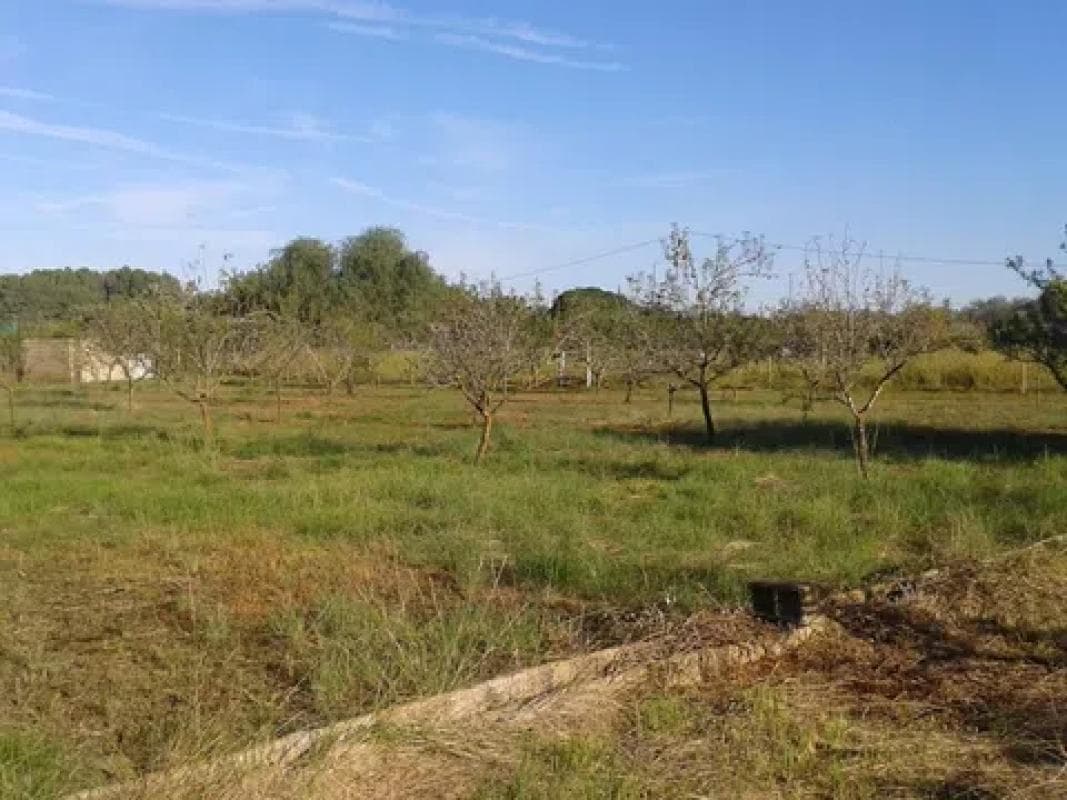 Terreno en venta en Pedreguer, Alicante photo 5