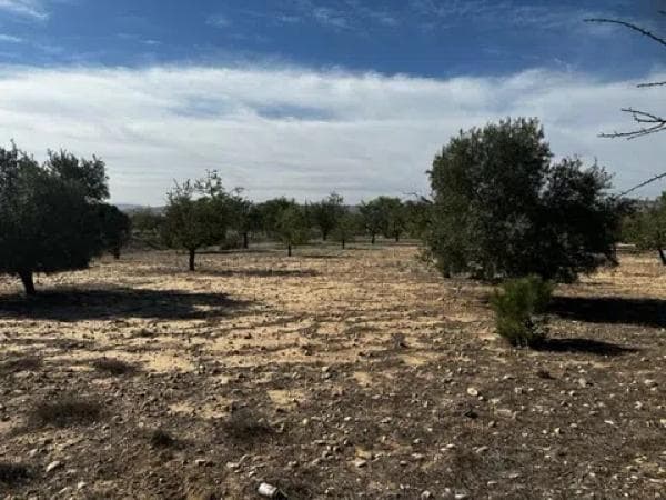 Terreno en Partida Borrell photo 1