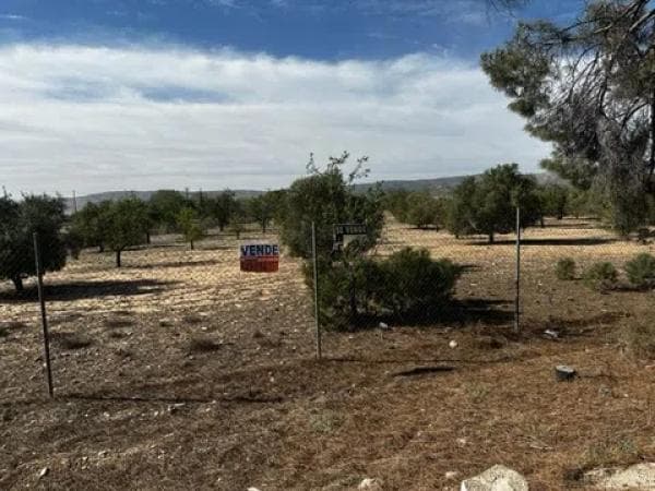 Terreno en Partida Borrell photo 2