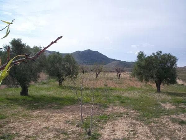 Terreno en camino El Rebalso s/n photo 1