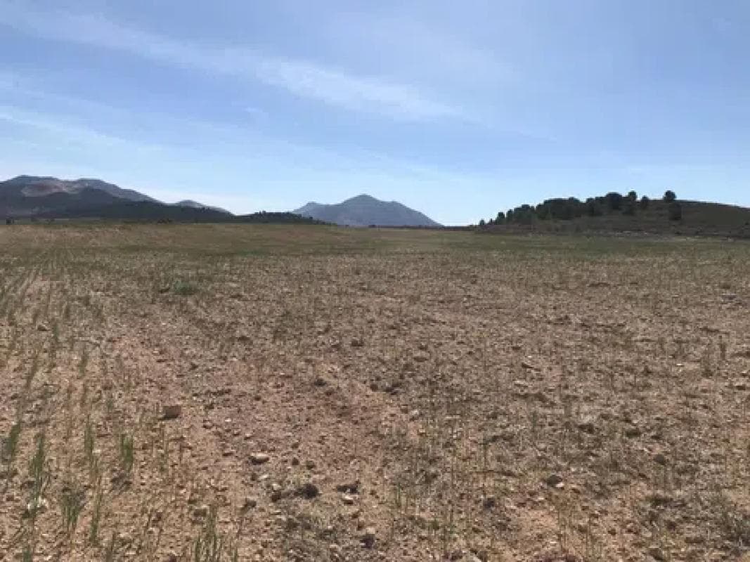 Terreno en venta en Pinoso, Alicante photo 2