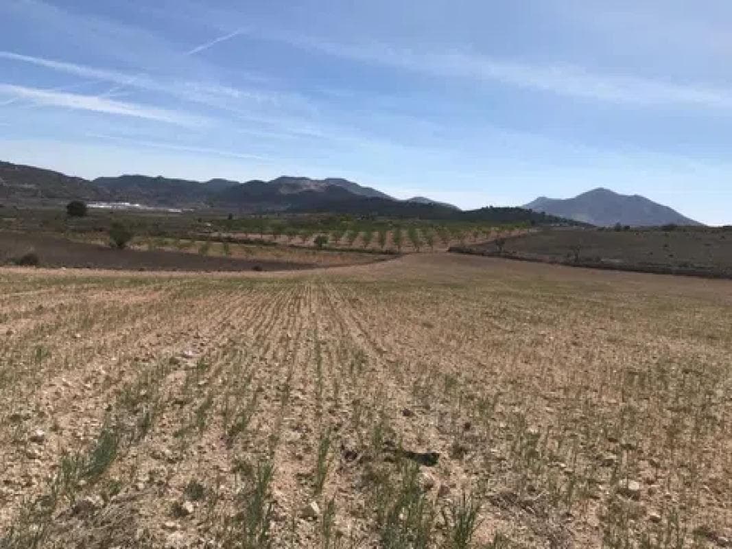 Terreno en venta en Pinoso, Alicante photo 5