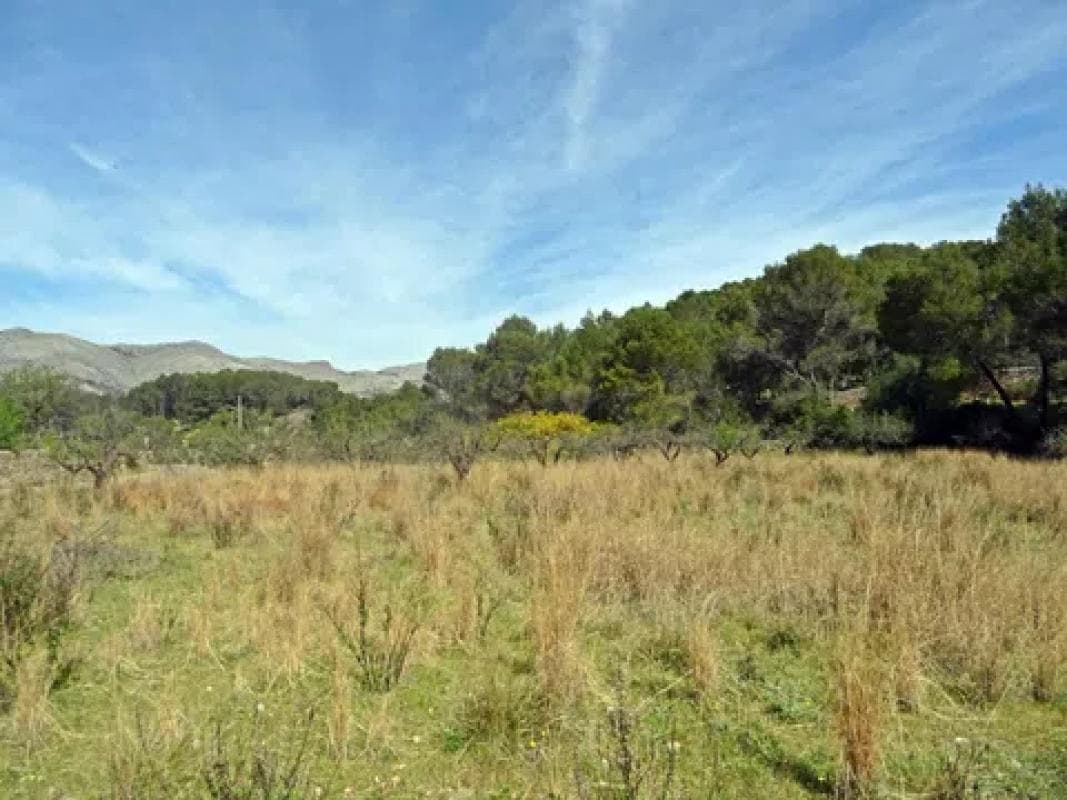 Property photo 4
