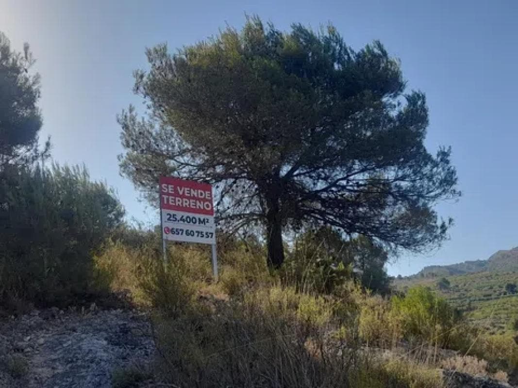 Terreno en venta en Pego, Alicante photo 2