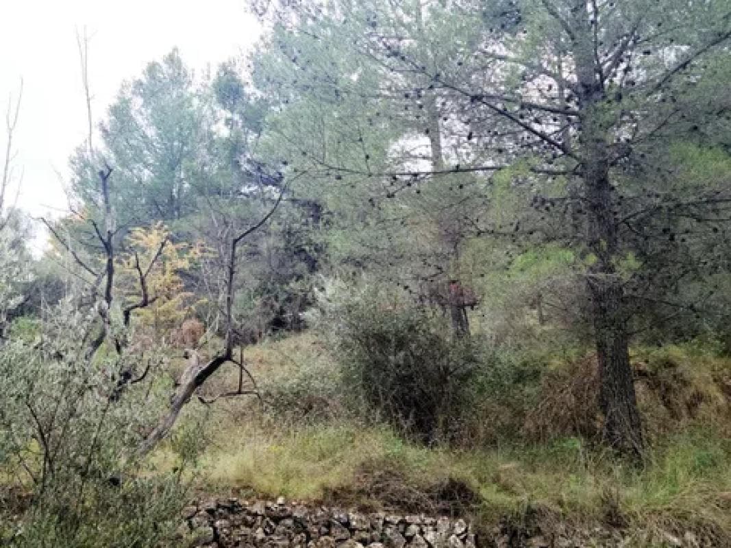 Terreno en venta en Benifato, Alicante photo 2