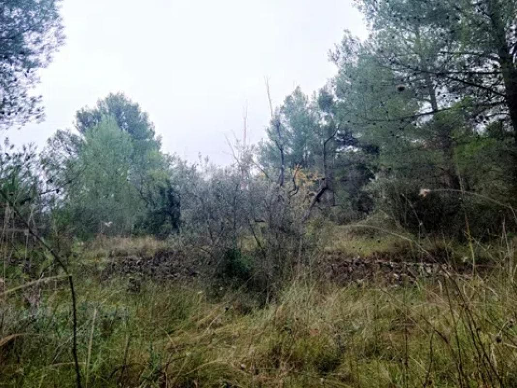 Terreno en venta en Benifato, Alicante photo 4