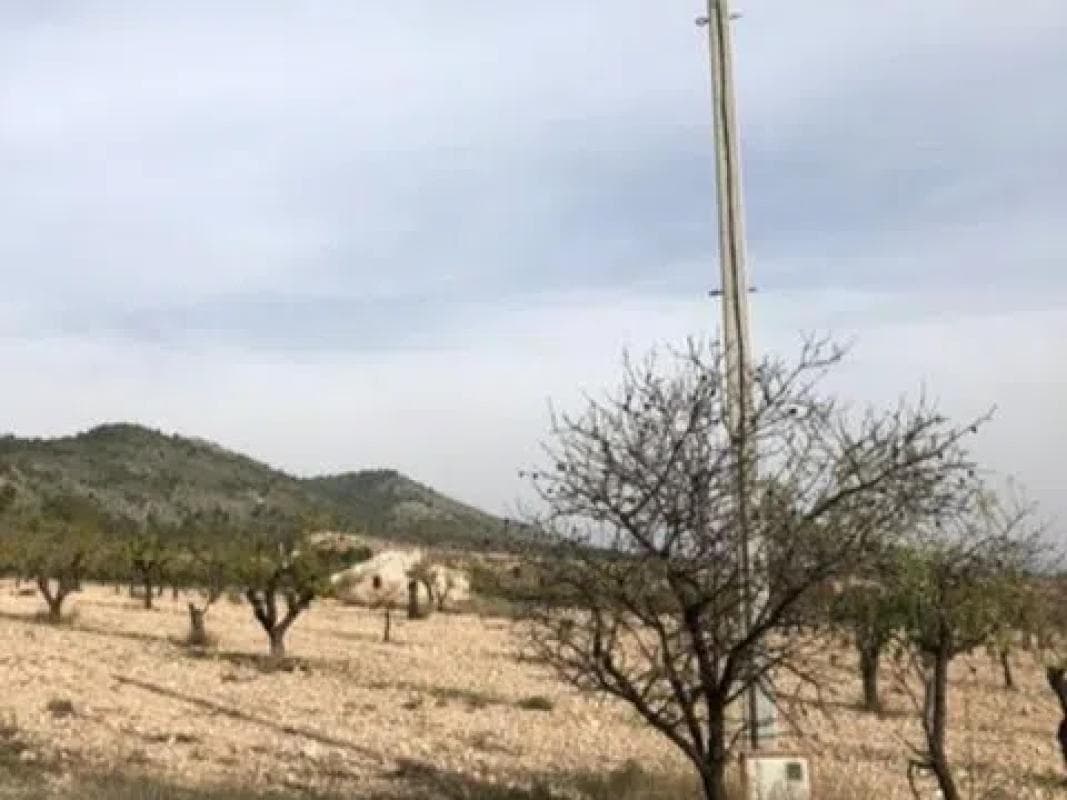 Terreno en venta en Salinas, Alicante photo 4