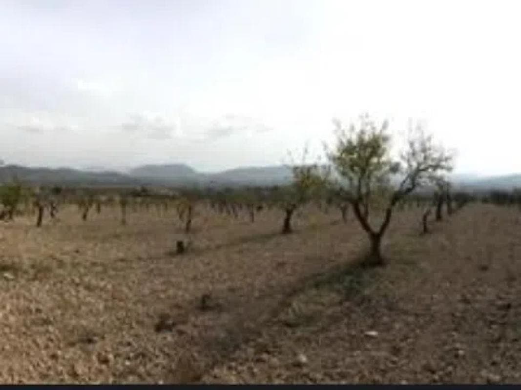 Terreno en venta en Salinas, Alicante photo 5
