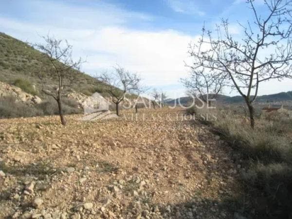 Terreno en Hondón de las Nieves thumbnail 1