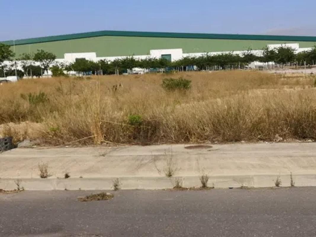 Terreno en venta en Dolores, Alicante photo 2
