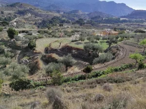 Terreno en Cv-780 s/n Sn photo 1