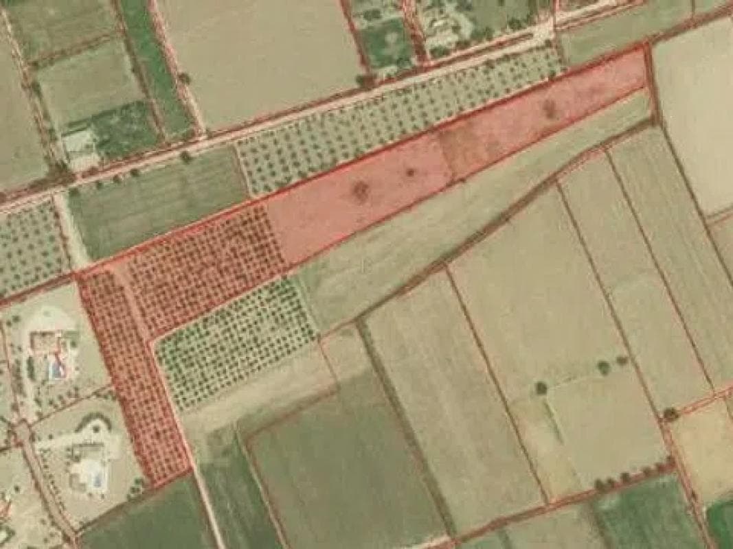 Terreno en venta en Catral, Alicante photo 3