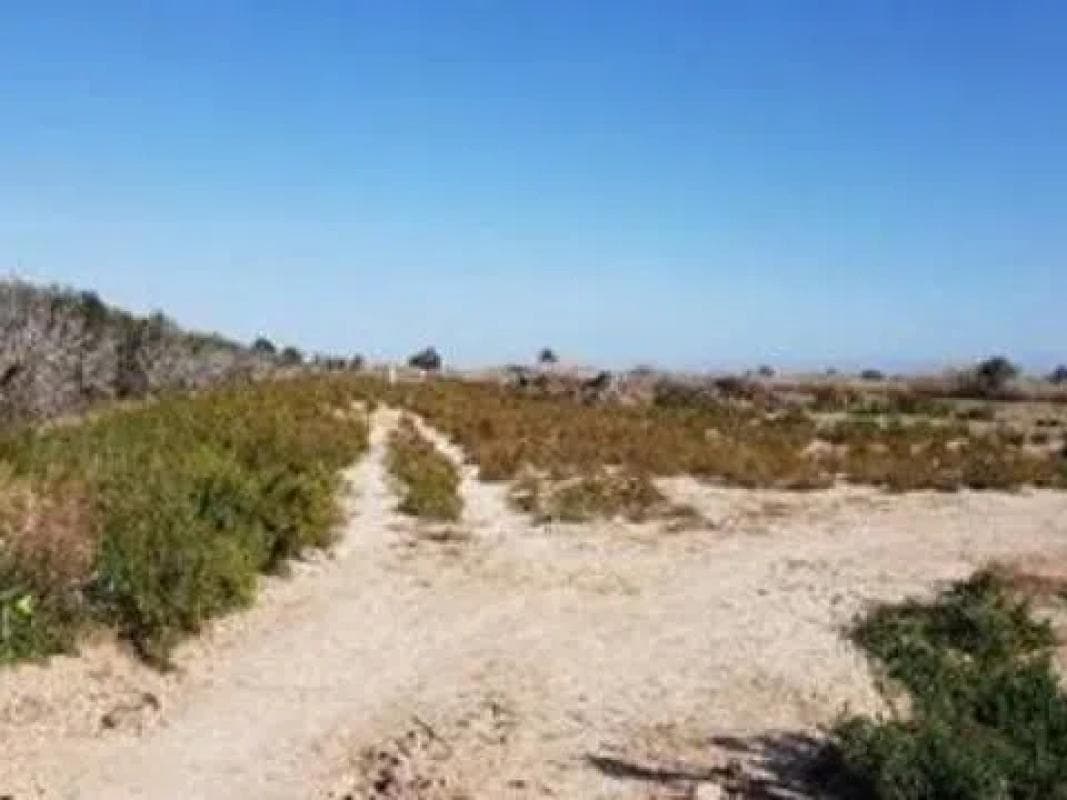 Terreno en venta en Catral, Alicante photo 5