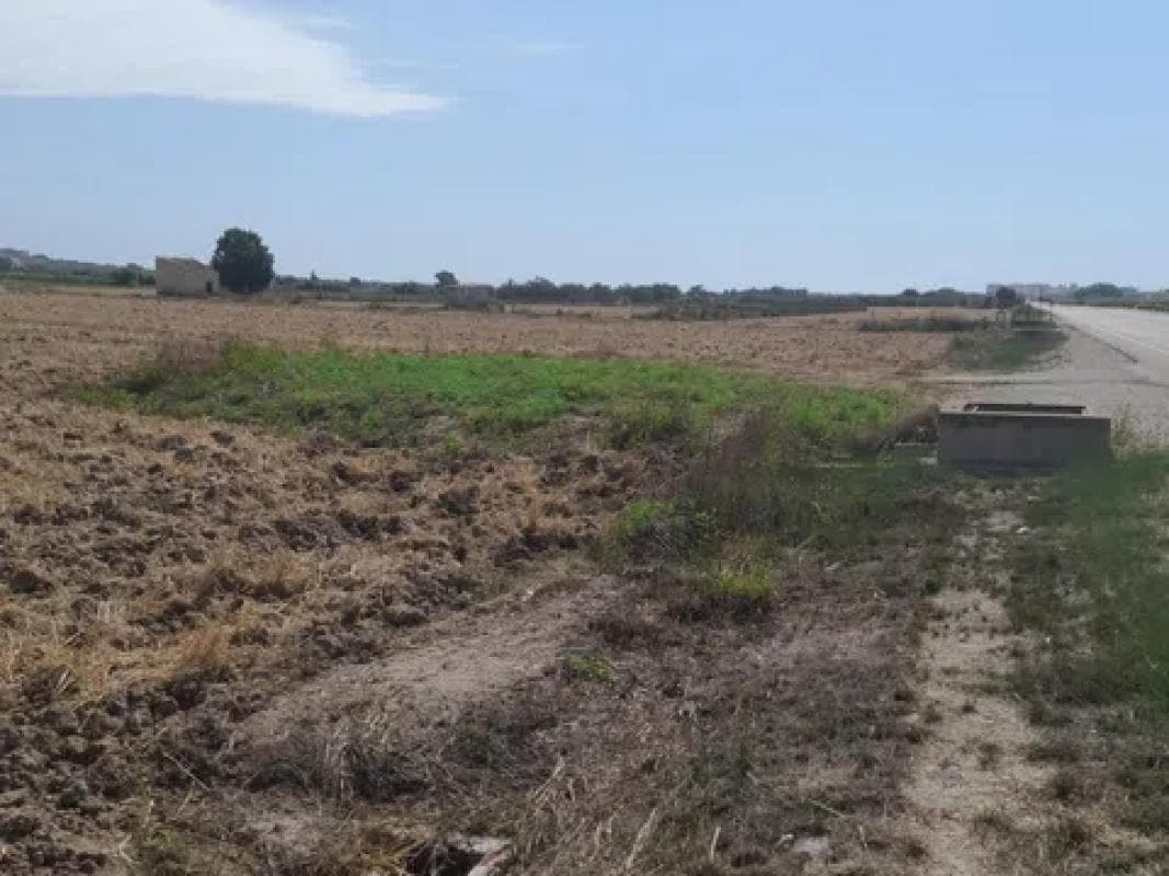 Terreno en venta en San Fulgencio, Alicante photo 2