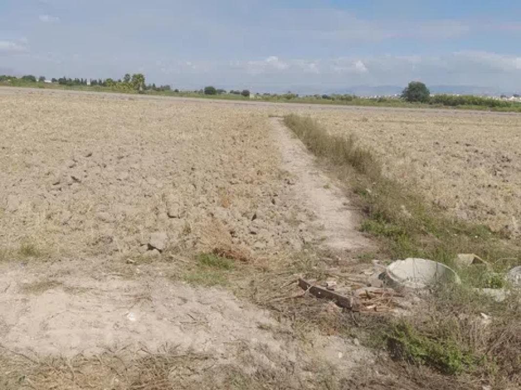 Terreno en venta en San Fulgencio, Alicante photo 4