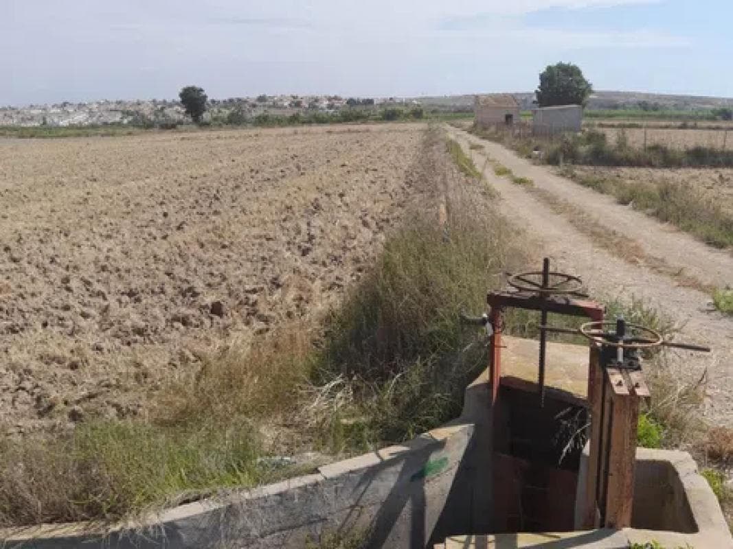 Terreno en venta en San Fulgencio, Alicante photo 5