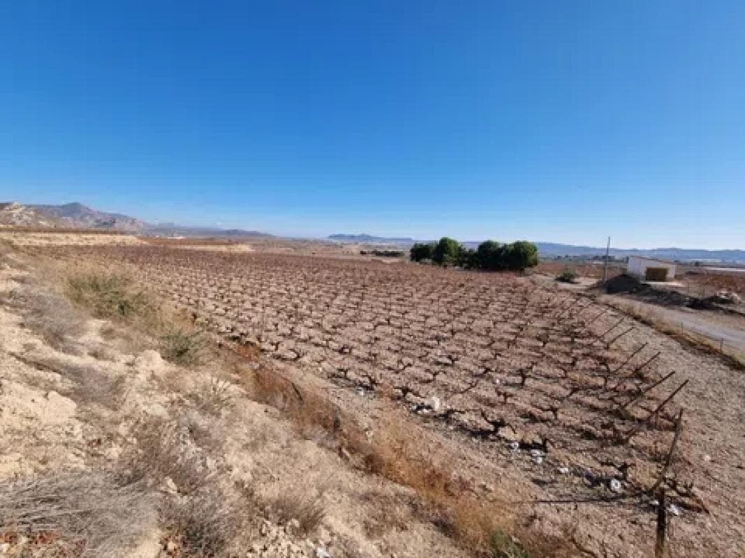 Terreno en venta en Novelda, Alicante photo 2