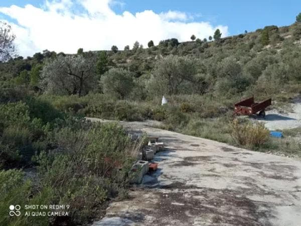 Terreno en carretera Balones, km 10 photo 1