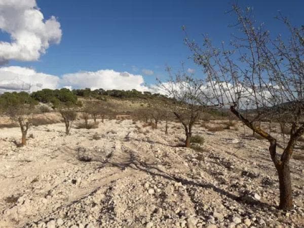 Terreno en Les camarilles, km 4 photo 1