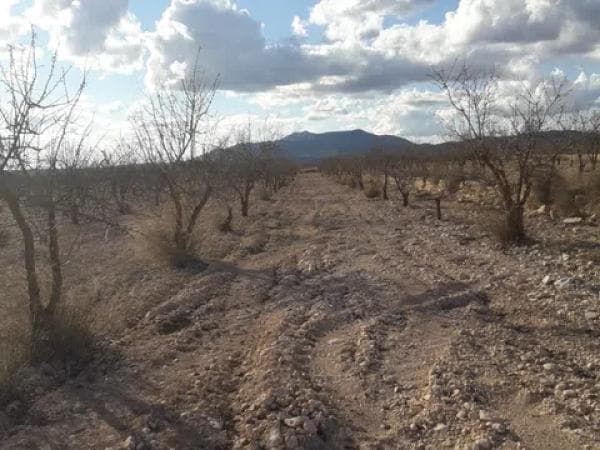 Terreno en Les camarilles, km 4 thumbnail 1