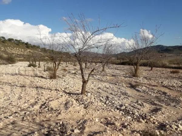 Terreno en Les camarilles, km 4 thumbnail 2