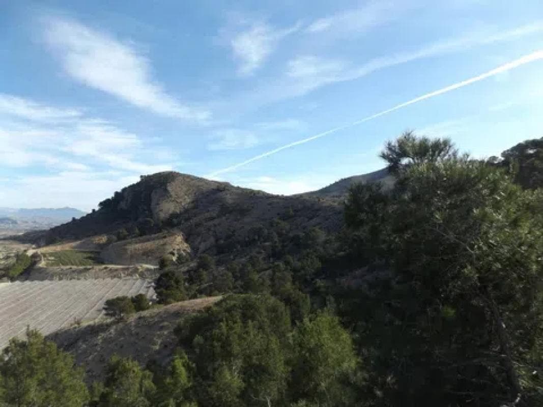 Terreno en venta en Monforte del Cid, Alicante photo 3