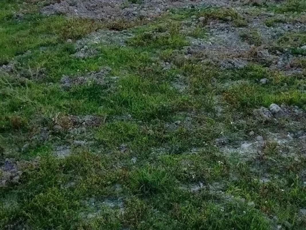 Terreno en venta en Alcocer de Planes, Alicante photo 3