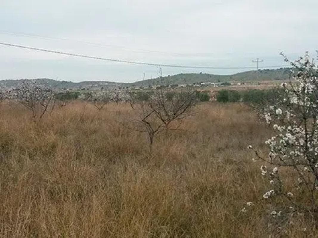 Terreno en venta en Hondón de las Nieves, Alicante photo 2