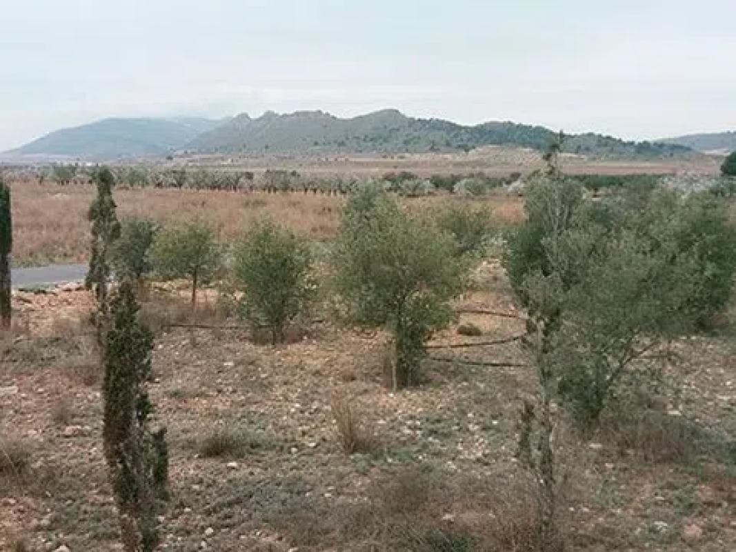 Terreno en venta en Hondón de las Nieves, Alicante photo 4
