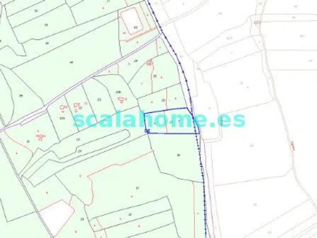 Terreno en venta en Pinoso, Alicante plan 1