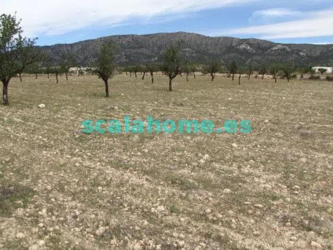 Terreno en venta en Pinoso, Alicante photo 5
